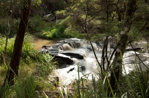 Queen Mary Falls, Killarney