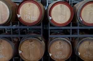 Wine barrels