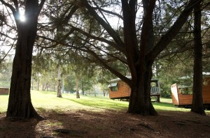 Queen Mary Falls Caravan Park