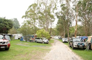 Queen Mary Falls Caravan Park