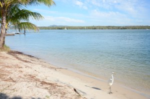 Campervan Converts - Noosa River Holiday Park