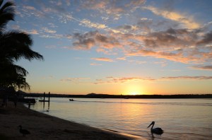 Campervan Converts - Noosa sunset
